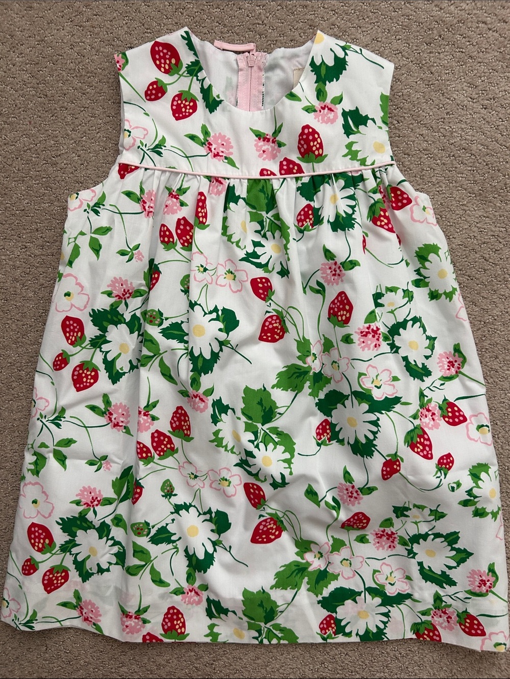 EUC Beaufort Bonnet Company Greenwich Garden strawberry dress